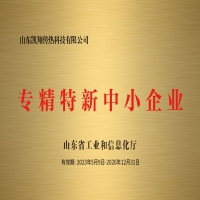 山東省“專(zhuān)精特新中小企業(yè)”